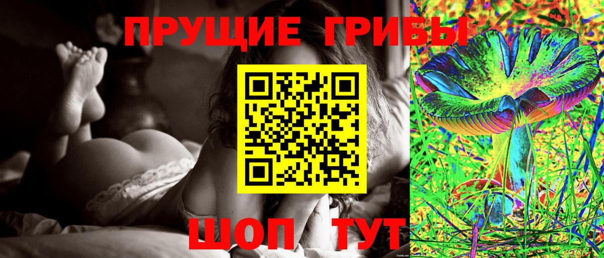 Галлюциногенные грибы Psilocybe Шатура