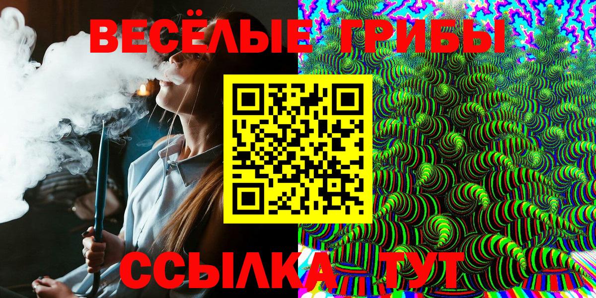 Шатура  Псилоцибиновые грибы Cubensis  Вход с VPN  Псилоцибиновые грибы Cubensis 